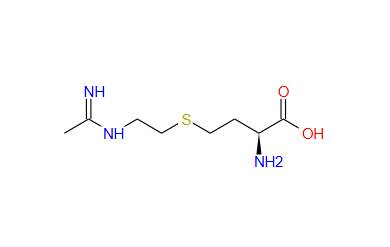 (S)-2-AMINO-(1-IMINOETHYLAMINO)-5-THIOHEPTANOIC ACID